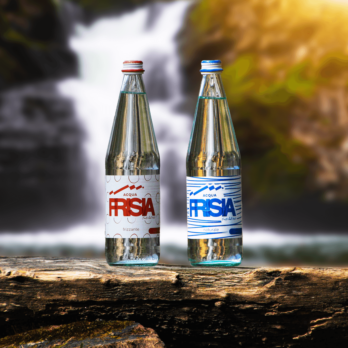 Frisia frizzante
